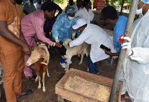 ANTHRAX DISEASE: FG Donates Free 50,000 Doses Of Vaccines To LASG