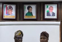 NADDC and NEMSA Strengthen Strategic Partnership to Advance Electric Mobility in Nigeria.